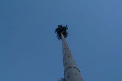kirmesbaumstellen_20130503_1255175032