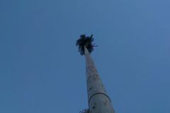 kirmesbaumstellen_20130503_1845864794